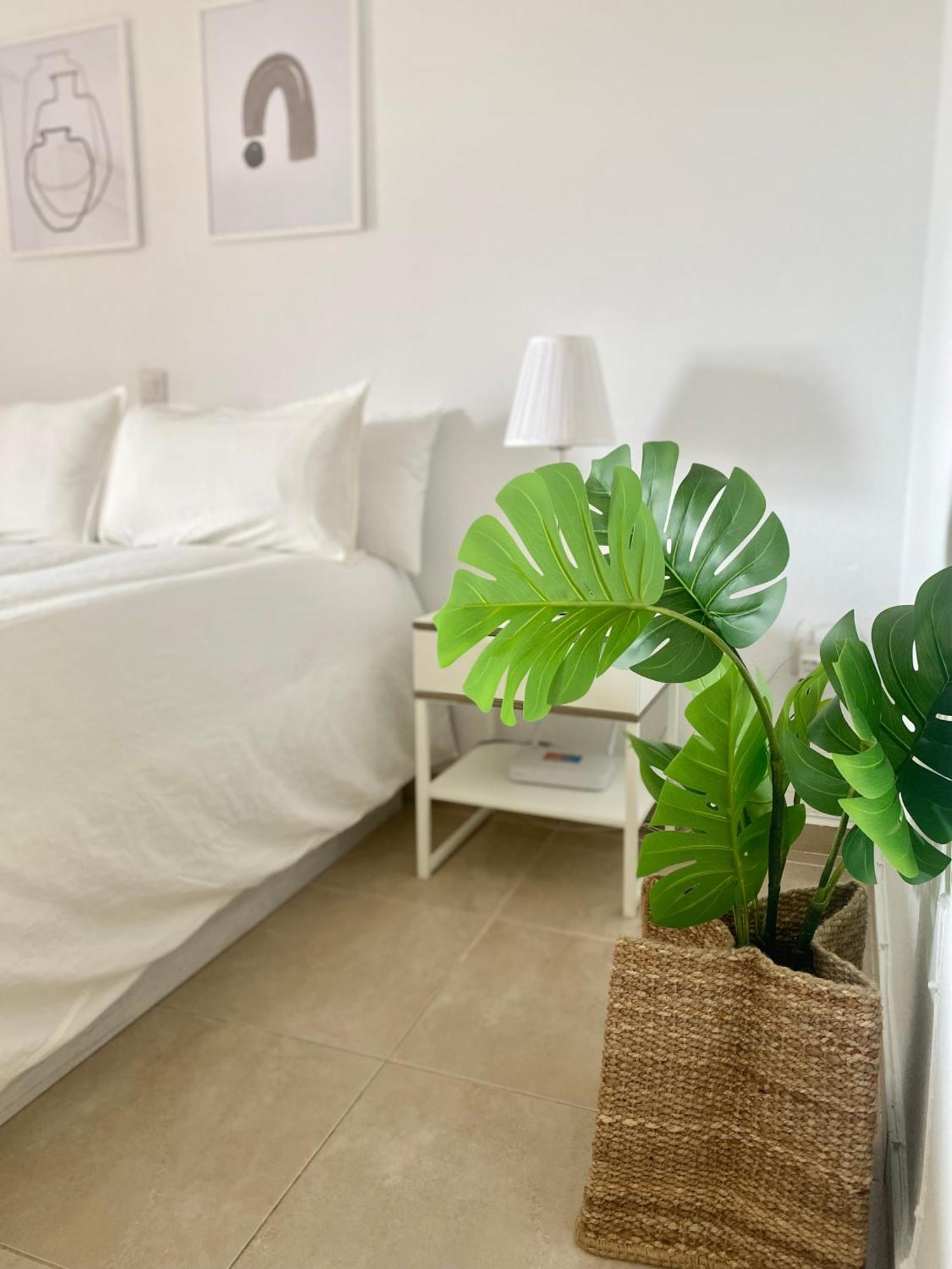 Appartement 520 Estudio En Minerva Vista Al Jardin - Playa A 700 Metros *